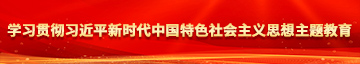 爆操老逼学习贯彻习近平新时代中国特色社会主义思想主题教育